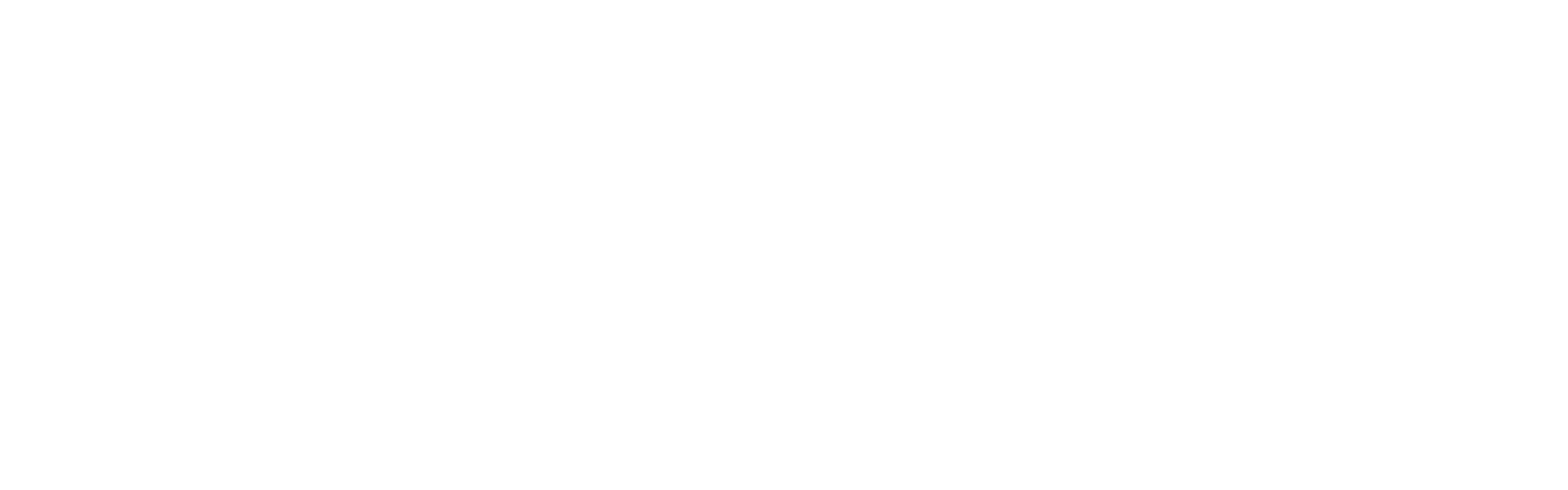 Svaasthy